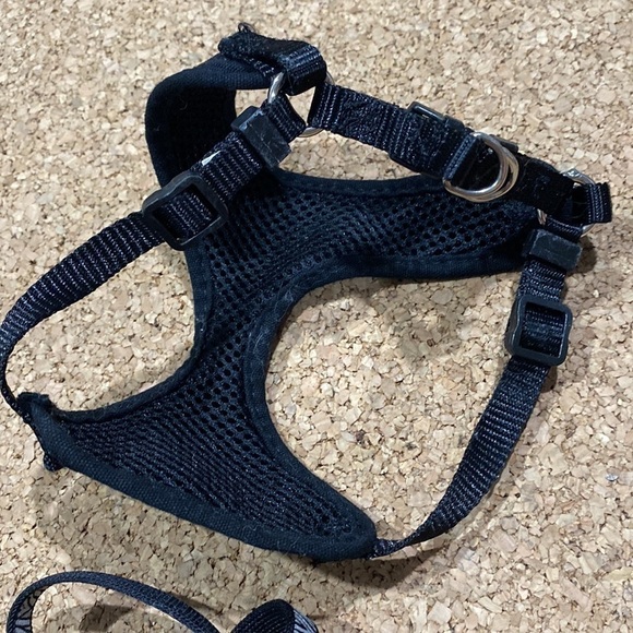 Kitty‎ harness & leash set black white zebra skull crossbones cat - Picture 4 of 4